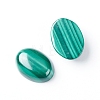 Natural Malachite Cabochons G-E557-03G-1
