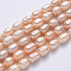 Natural Cultured Freshwater Pearl Beads Strands PEAR-N012-07G-2