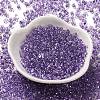 Baking Paint Glass Seed Beads SEED-K009-03B-04-2