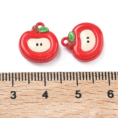 Baking Paint Alloy Charms FIND-G109-03-1