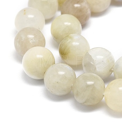 Natural Rainbow Moonstone Beads Strands G-O201A-17A-1