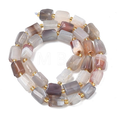 Natural Botswana Agate Beads Strands G-C270-K16-1