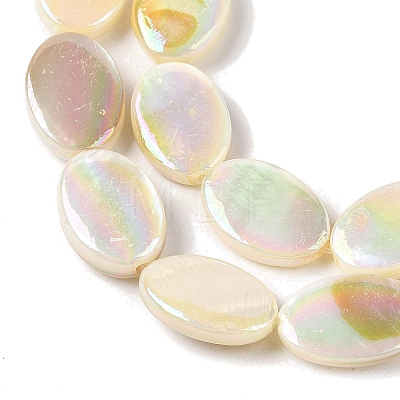 Natural Freshwater Shell Beads Strands BSHE-H018-06-1