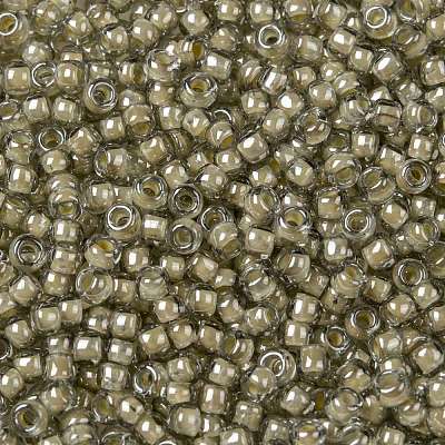 TOHO Round Seed Beads SEED-JPTR08-0369-1