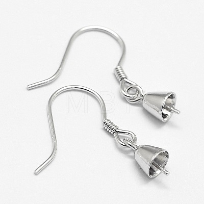Rhodium Plated 925 Sterling Silver Earring Hooks STER-N0001-010-1