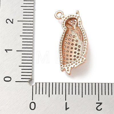 Rack Plating Brass Micro Pave Cubic Zirconia Pendants KK-L224-056RG-1