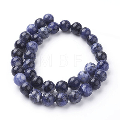 Natural Sodalite Beads Strands X-G-E110-10mm-3-1
