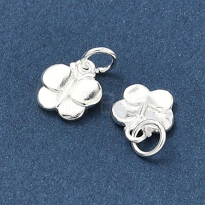 925 Sterling Silver Charms STER-A050-03C-S-1