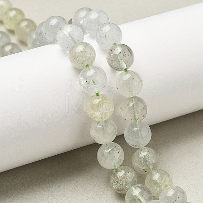 Natural Green Beryl Beads Strands G-F787-01-10mm-1