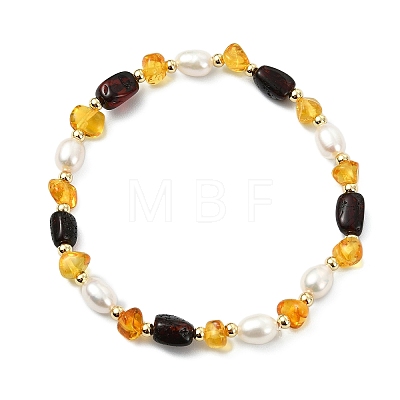 Natural Amber & Cultured Freshwater Pearl Beaded Stretch Bracelets for Women BJEW-JB13699-01-1