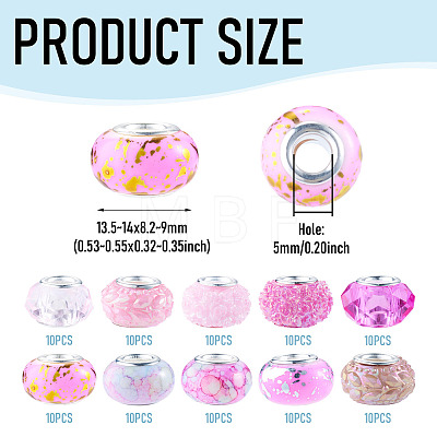 100Pcs 10 Styles Resin European Beads RPDL-TA0001-14-1