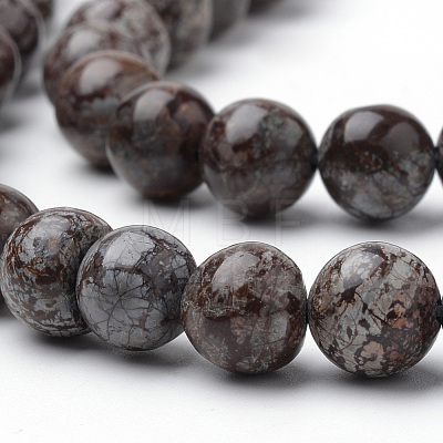Natural Brown Snowflake Obsidian Beads Strands G-S272-02-10mm-1