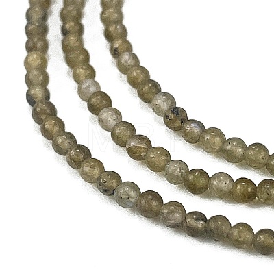 Natural Labradorite Beads Strands G-M438-A01-02-1