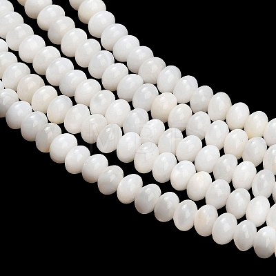 Natural Freshwater Shell Beads Strands SHEL-C010-04B-02-1