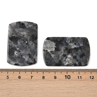 Natural Larvikite Pendants G-K354-14H-1