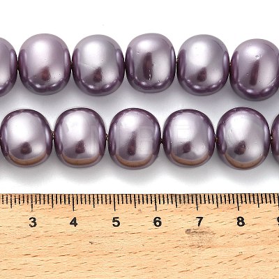 Shell Pearl Beads Strands BSHE-F013-01C-1