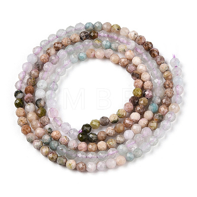 Natural Mixed Gemstone Beads Strands G-D080-A01-03-04-1