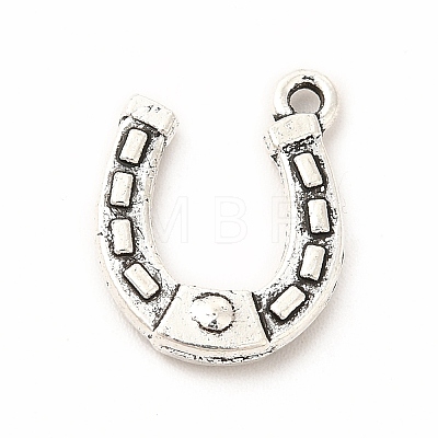 Tibetan Style Alloy Pendants LS-PALLOY-B012-01E-AS-1