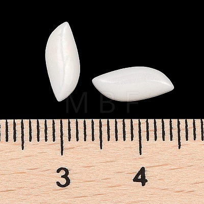 Opaque Resin Decoden Cabochons CRES-I036-14C-1