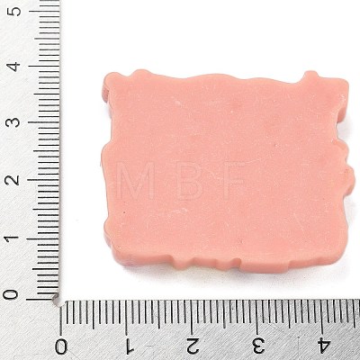 Resin Cabochons RESI-R456-08F-1