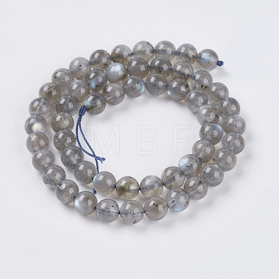 Natural Labradorite Beads Strands G-G448-8mm-04B-1