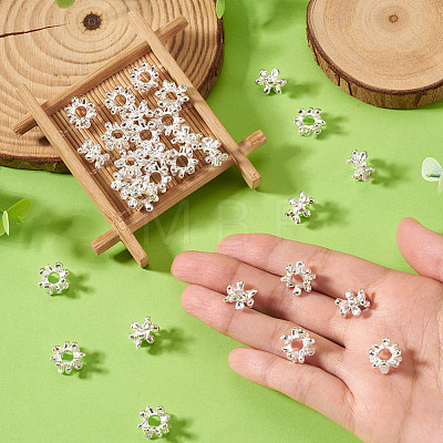 Alloy European Beads FIND-TAC0027-39S-1
