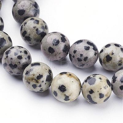 Natural Dalmatian Jasper Beads Strands GSR10mmC004-1