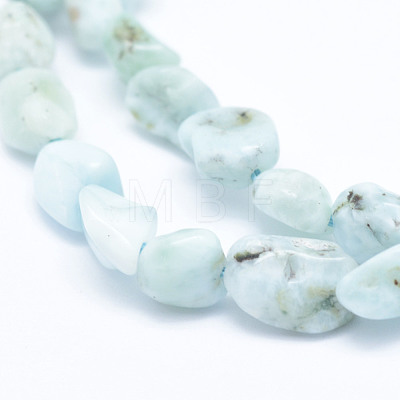 Natural Larimar Beads Strands G-K203-48-1