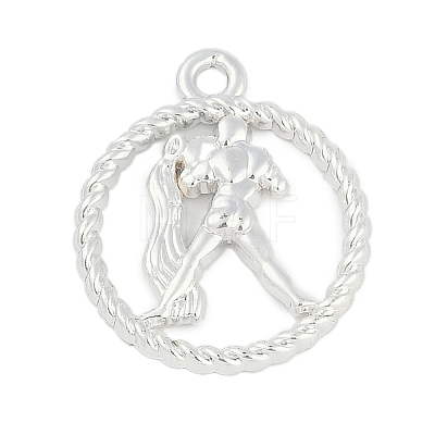 Twelve Constellations Alloy Pendants PALLOY-Q006-01E-S-1