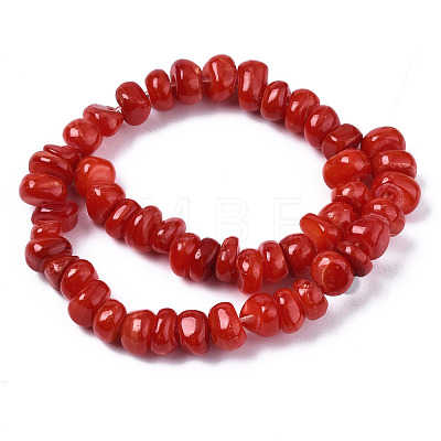 Natural Freshwater Shell Beads Strands SHEL-S278-041-1