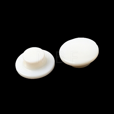 Natural Freshwater Shell Beads SHEL-C009-08-1
