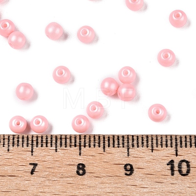 Glass Seed Beads SEED-T007-01D-1