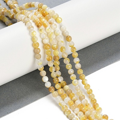 Natural Trochus Shell Beads Strands BSHE-H109-12B-1