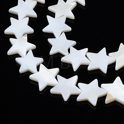 Natural Freshwater Shell Beads Strands LS-SHEL-S278-01D-01-1