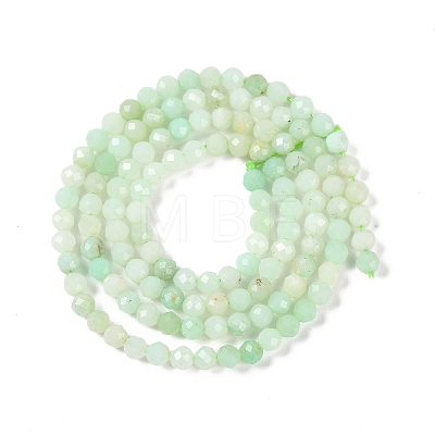 Natural Chrysoprase Beads Strands G-P542-A04-02-1