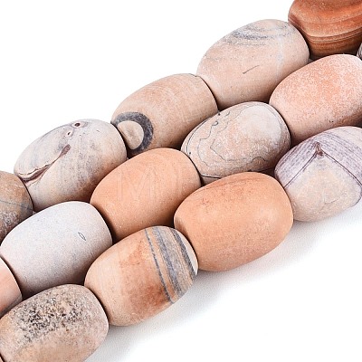 Dyed Natural Agate Beads Strands G-T144-29-1