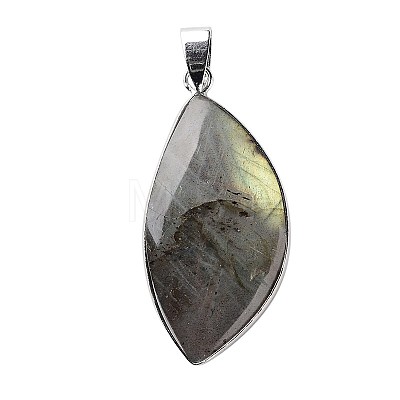 Natural Labradorite Teardrop Pendants G-L350-03-1