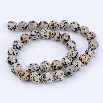 Natural Dalmatian Jasper Beads Strands G-Q462-10mm-30-1
