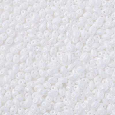 Opaque Luster Czech Glass Seed Beads SEED-N004-005-D01-1