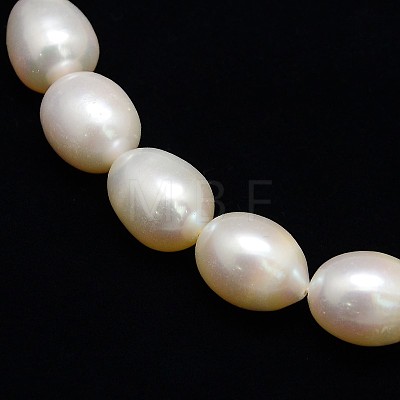 Natural Cultured Freshwater Pearl Beads Strands PEAR-L001-B-09-1