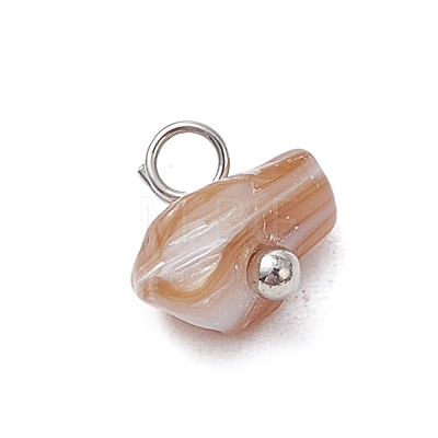 Natural Sea Shell Chip Charms PALLOY-JF03438-02-1