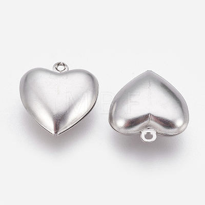 304 Stainless Steel Pendants STAS-P208-04P-02-1