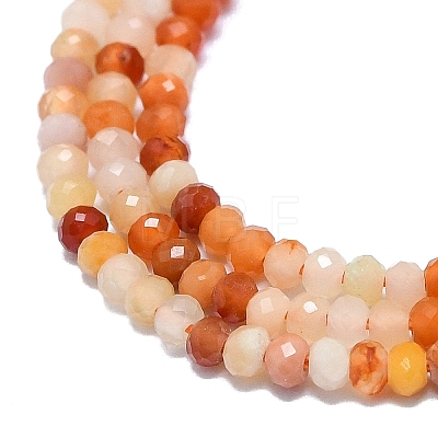 Natural Ocean Agate Beads Strands G-G106-A41-01-1