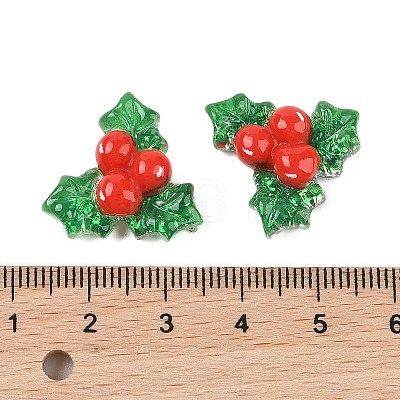 Christmas Series Cute Transparent Resin Decoden Cabochons RESI-S03-03H-1