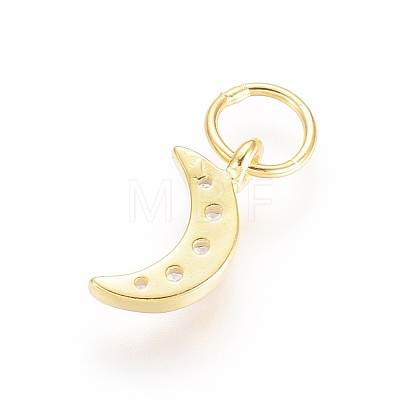 925 Sterling Silver Charms STER-G031-03G-1