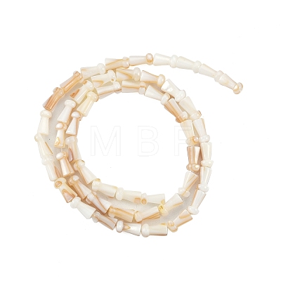 Natural Freshwater Shell Beads Strands SHEL-G013-02B-1