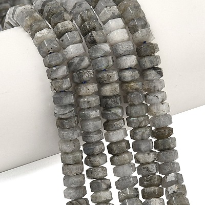 Natural Labradorite Beads Strands G-L654-I05-01-1