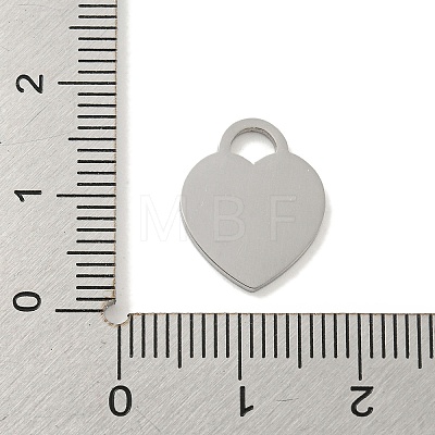 304 Stainless Steel Pendants FIND-M017-01P-T-1