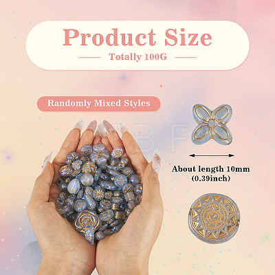 100G Transparent Acrylic Beads OACR-BT0001-05A-1