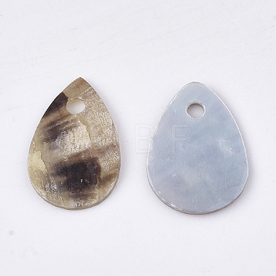 Natural Akoya Shell Charms X-SHEL-T012-40-1